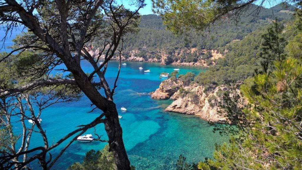 Studio Bandol Centre 2 Etoiles Ideal Emplacement Eksteriør billede